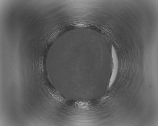 X0000056350512200509161805