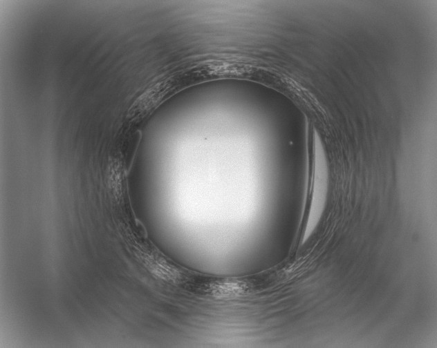 X0000056350513200509161805