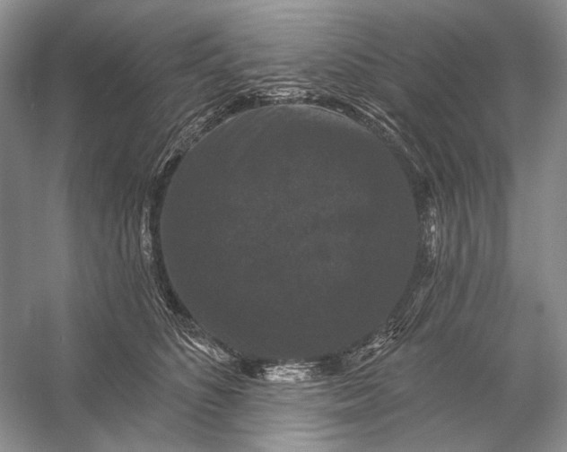 X0000056350516200509161805