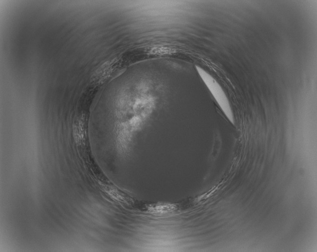 X0000056350517200509161805