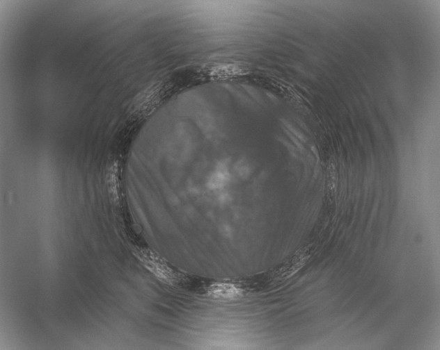 X0000056350519200509161805