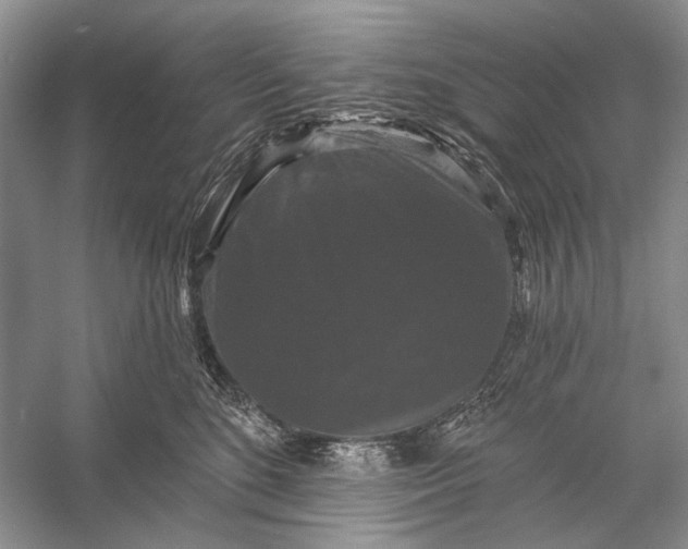 X0000056350520200509161805