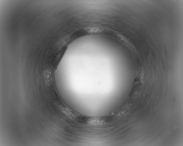 X0000056350521200509161805