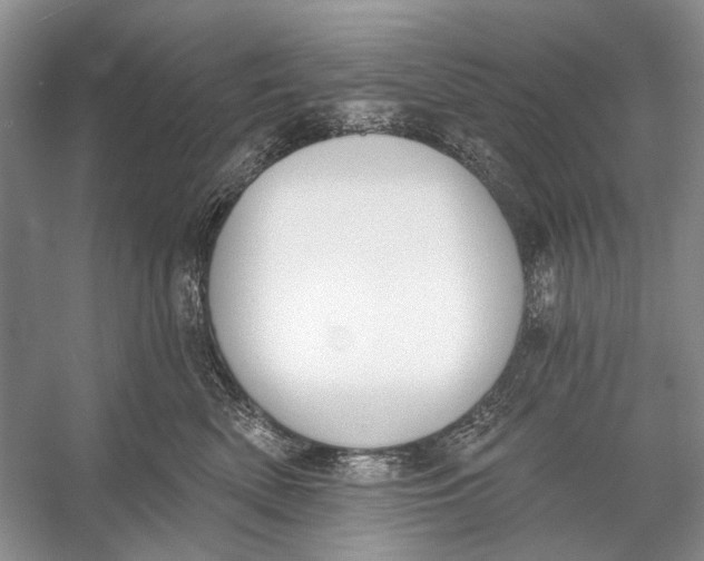 X0000056350522200509161805