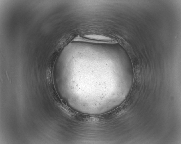 X0000056350523200509161805