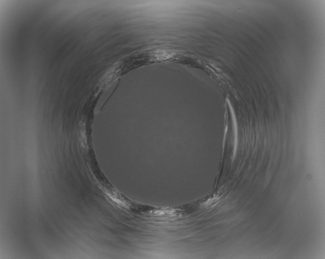 X0000056350524200509161805