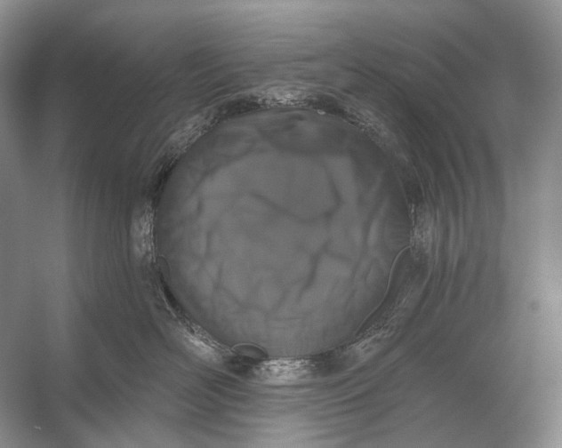 X0000056350526200509161805