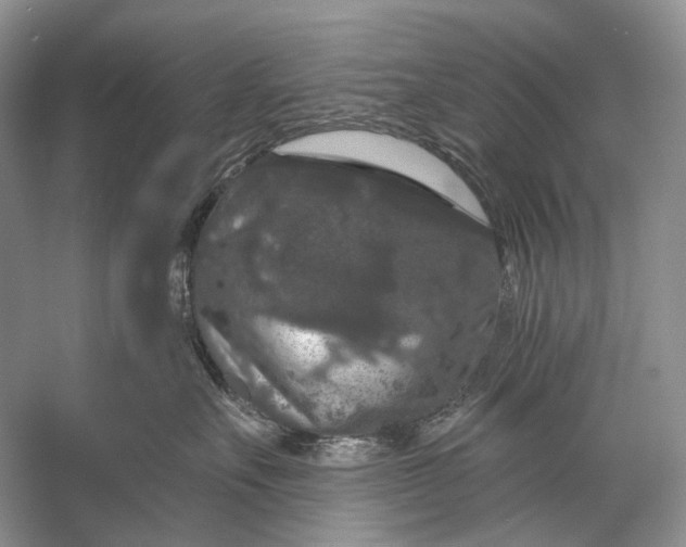 X0000056350527200509161805