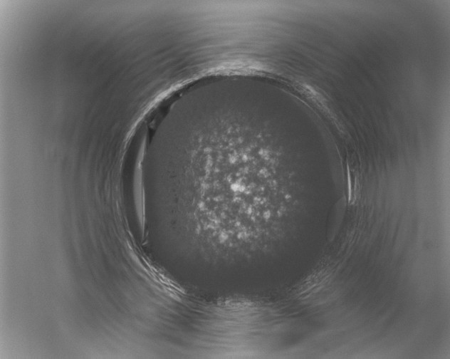 X0000056350531200509161804