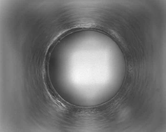 X0000056350532200509161804