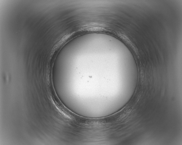 X0000056350533200509161804