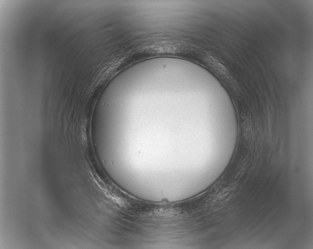 X0000056350537200509161804