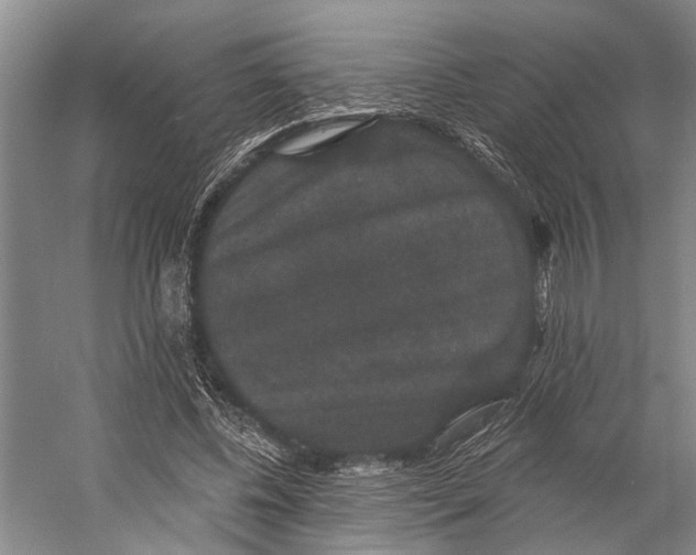 X0000056350540200509161804