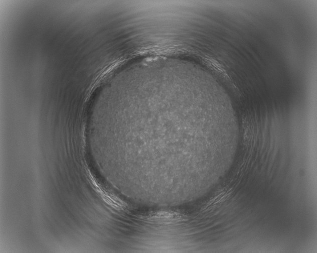 X0000056350542200509161804