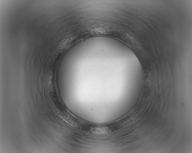 X0000056350548200509161804