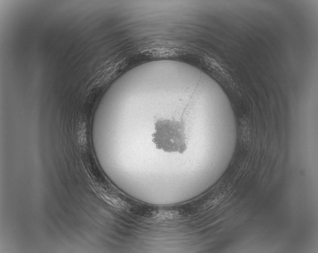 X0000056350549200509161804