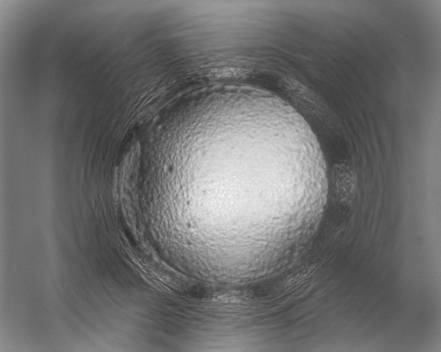 X0000056350550200509161804