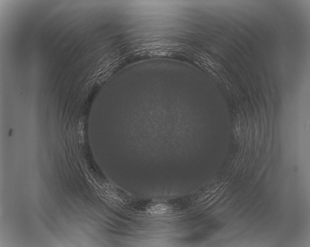 X0000056350551200509161805