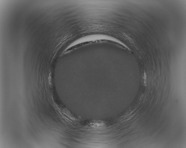 X0000056350552200509161805