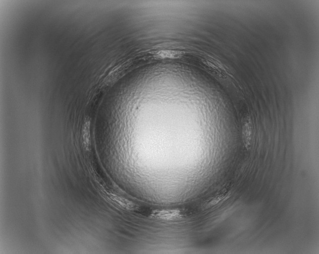 X0000056350554200509161805