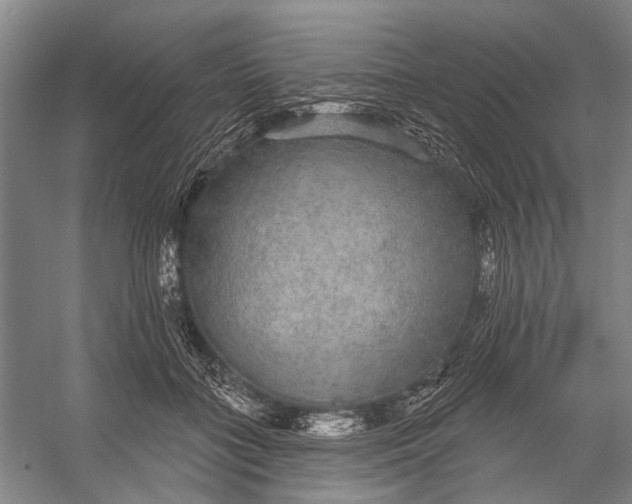 X0000056350555200509161805