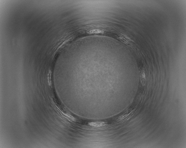 X0000056350556200509161805