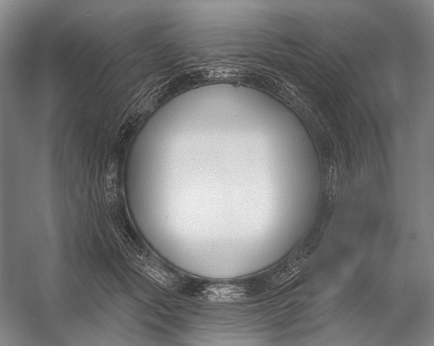 X0000056350557200509161805