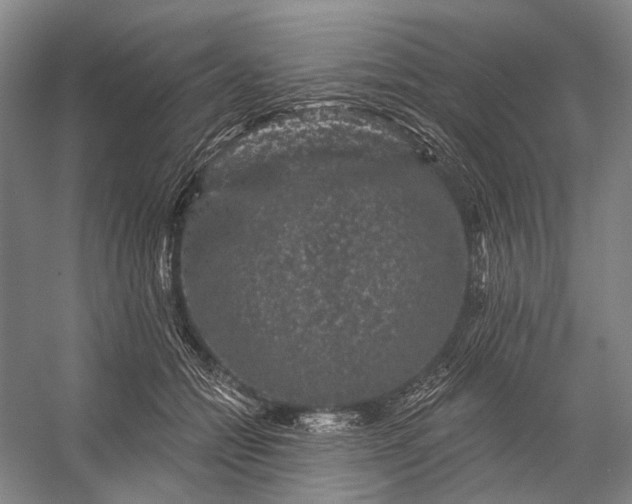 X0000056350558200509161805