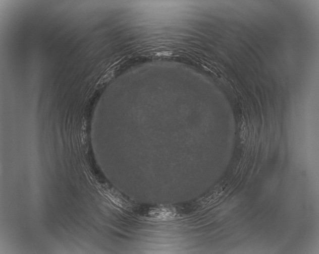 X0000056350559200509161805