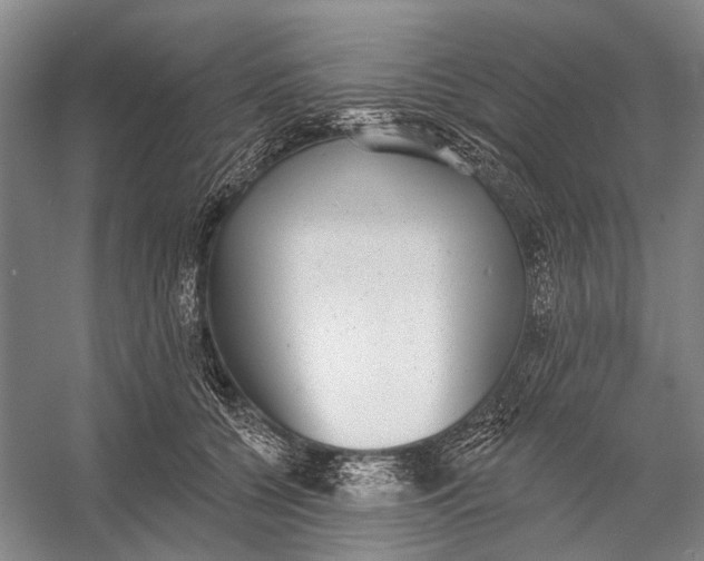 X0000056350560200509161805