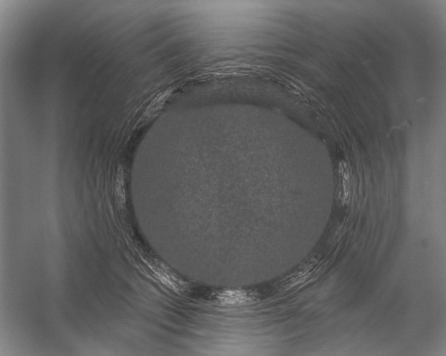 X0000056350562200509161805