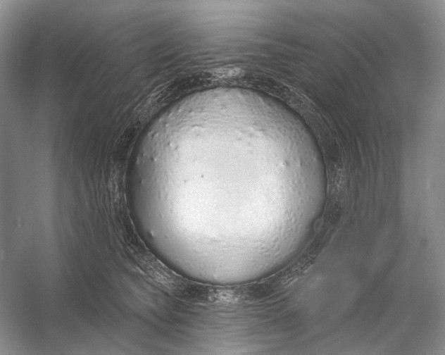 X0000056350565200509161805