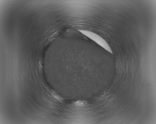 X0000056350566200509161805