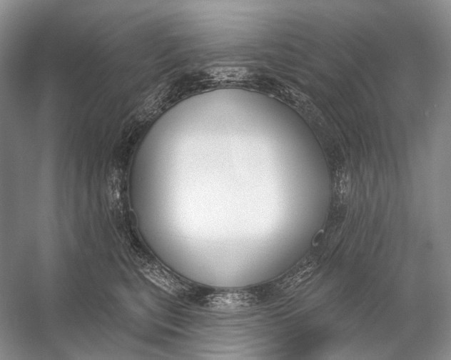 X0000056350567200509161805