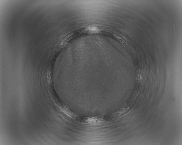 X0000056350568200509161805