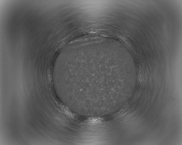 X0000056350569200509161805