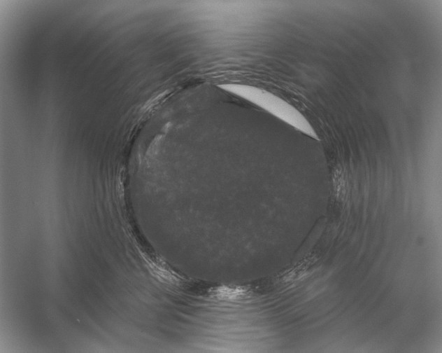 X0000056350570200509161805