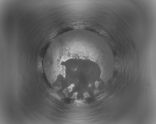 X0000056350573200509161805