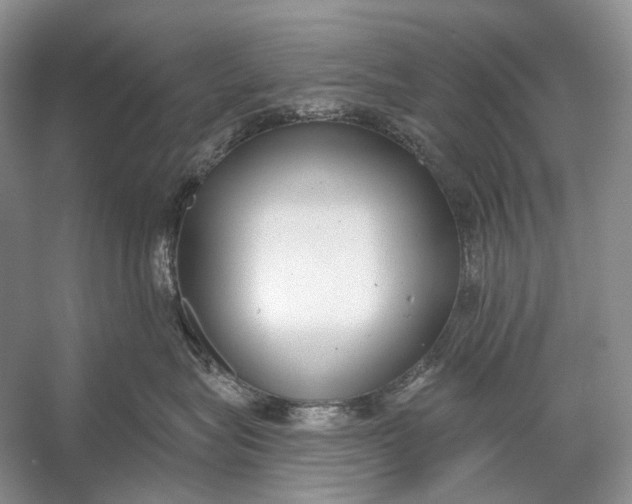 X0000056350575200509161805