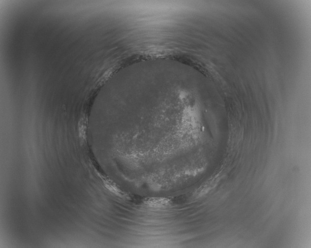 X0000056350576200509161805