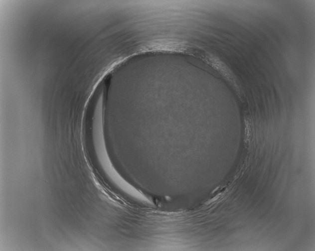 X0000056350580200509161804