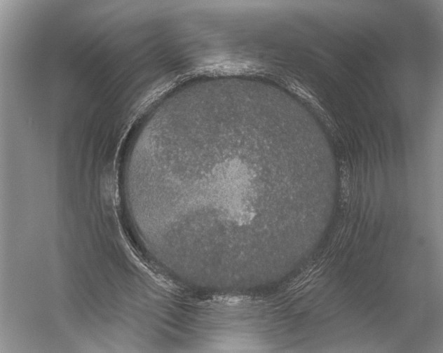 X0000056350582200509161804