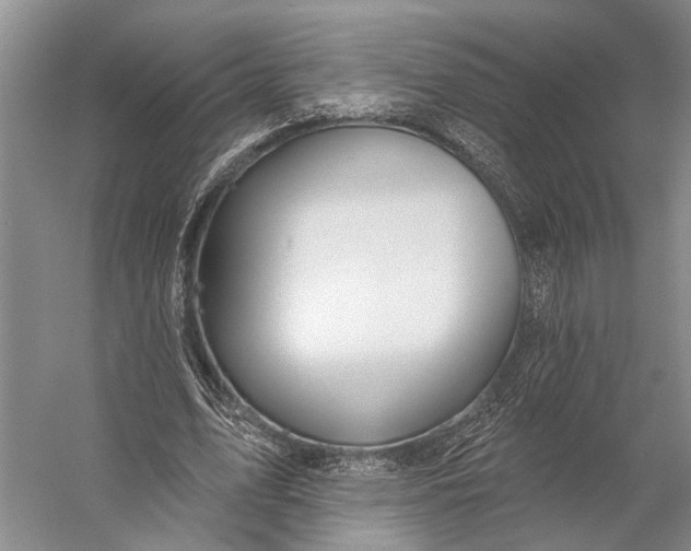 X0000056350583200509161804