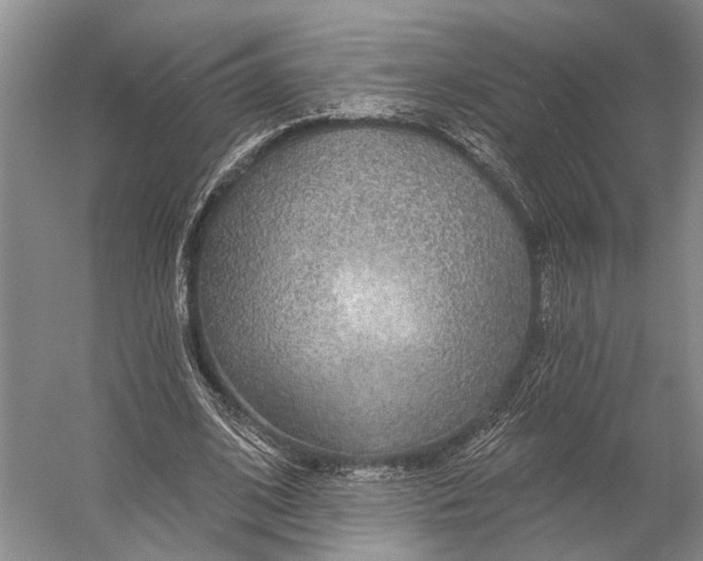 X0000056350584200509161804