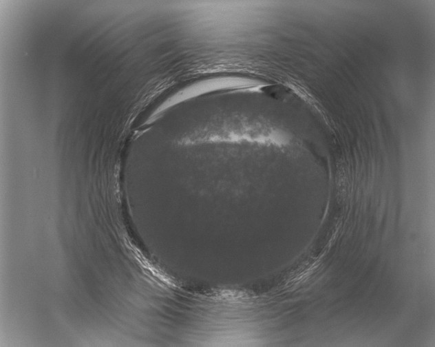 X0000056350585200509161804