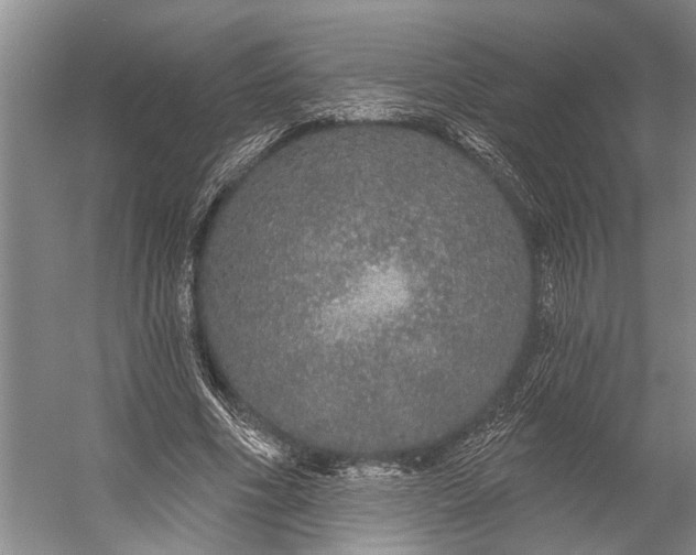 X0000056350586200509161804