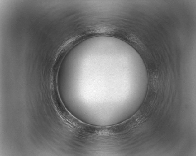 X0000056350587200509161804