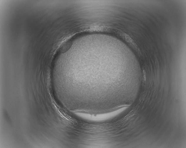 X0000056350588200509161804