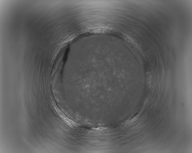 X0000056350589200509161804