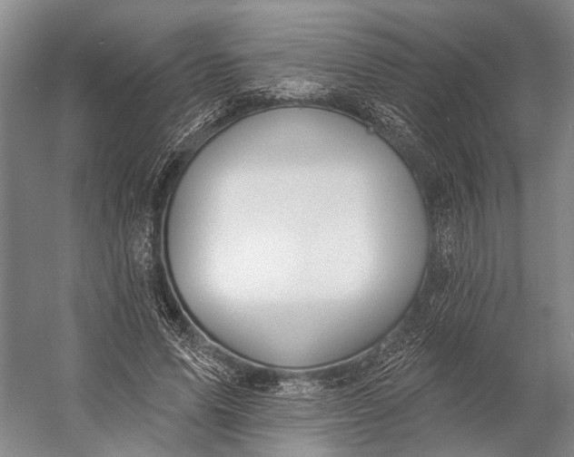 X0000056350591200509161804